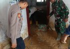 Polsek Cihaurbeuti Gotong Royong Bareng Warga dan Relawan Pasca Bencana Longsor di Desa Sukamaju