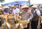 Kapolda Jabar Dorong Petani Lepas dari Tengkulak dalam Panen Raya Jagung di Indramayu