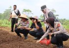 Kapolres Ciamis Dukung Swasembada Pangan Lewat Program Pertanian Tumpang Sari Di Lahan Tadah Hujan