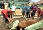 Kodim Ciamis Tebar Berkah Idul Adha Melalui Qurban