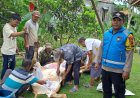Idul Adha 1447 H, Polsek Cisaga Pantau Proses Kurban di Mesjid Uswatun Hasanah