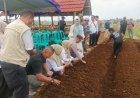 Polsek Cikoneng Dukung Ketahanan Pangan melalui Penanaman Perdana Bawang Merah di Desa Gegempalan